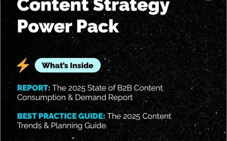The 2025 B2B Content Strategy Power Pack